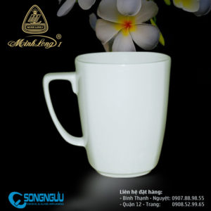 CA SỨ QUAI VUÔNG 0.36L