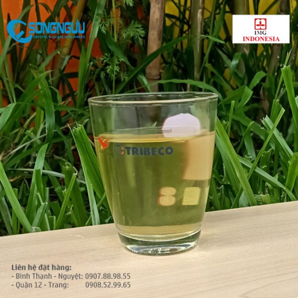 Ly trà đá In logo Tribeco cao cấp 250ml